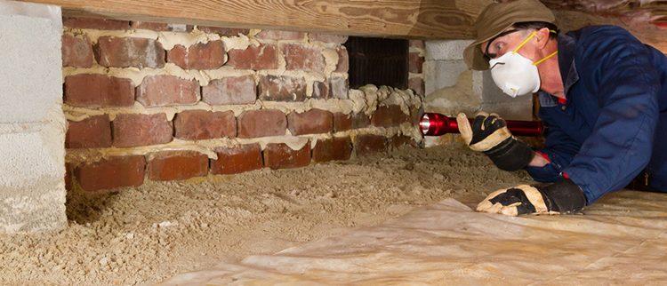 oakland crawl space cleaning service company