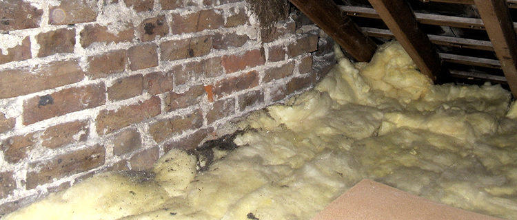 when to replace insulation, bay area attic insulation services, attic insulation replacement, replacing insulation