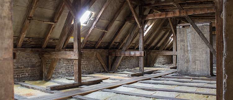 Best Ways To Deal With Mold In Your Attic