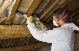 attic cleaning