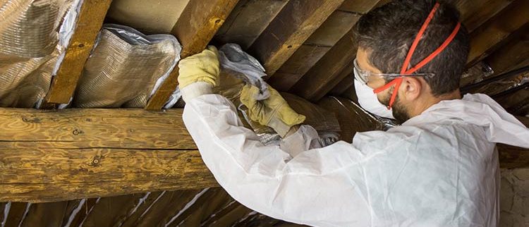 attic cleaning