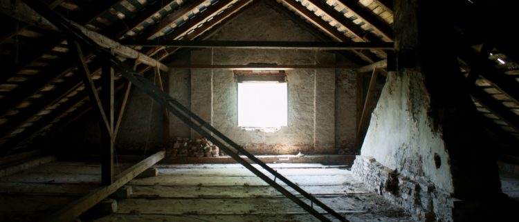 Bay Area attic cleaning