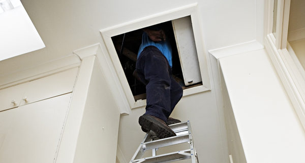 attic cleaners, Oakland attic restoration company