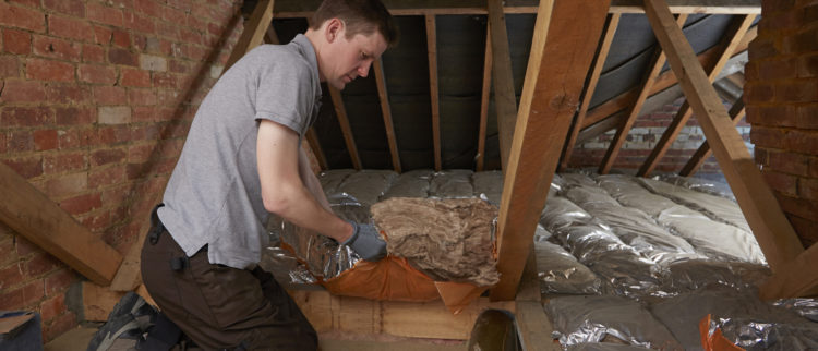 Bay Area attic insulation removal