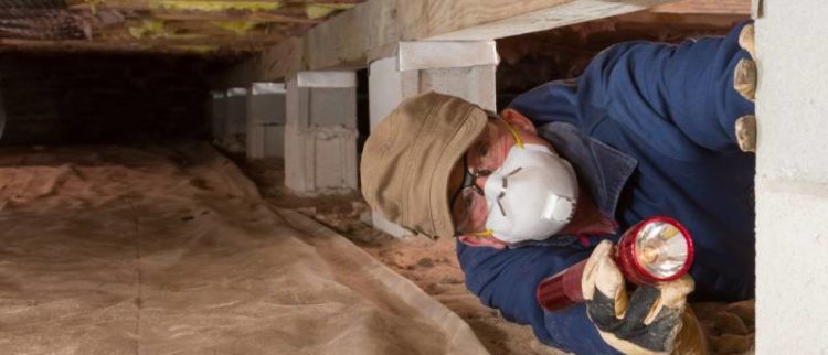 crawl space cleaning services near me