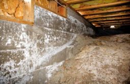 crawl space cleaning service
