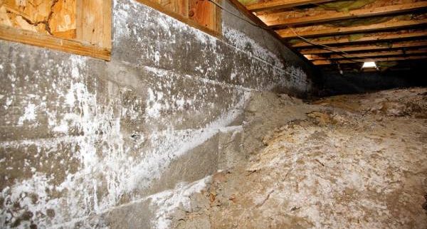 crawl space cleaning service